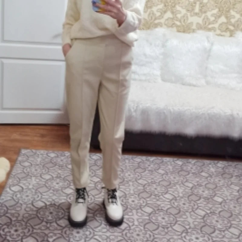 Thicken Women Pencil Pants 2025 autumn Winter Trousers OL Style Female Work Suit Pant Loose Female Trousers Capris 6648