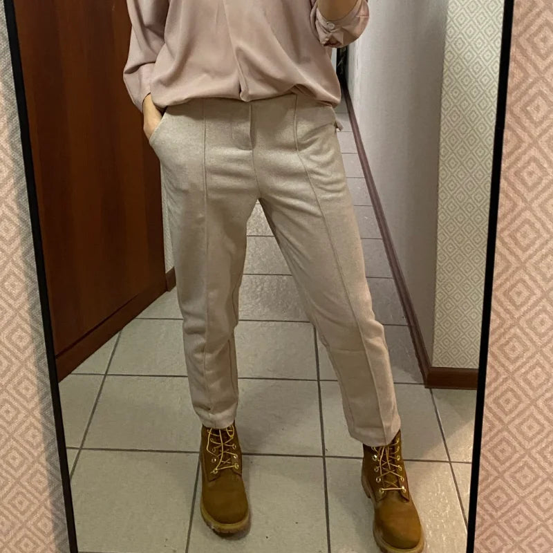 Thicken Women Pencil Pants 2025 autumn Winter Trousers OL Style Female Work Suit Pant Loose Female Trousers Capris 6648